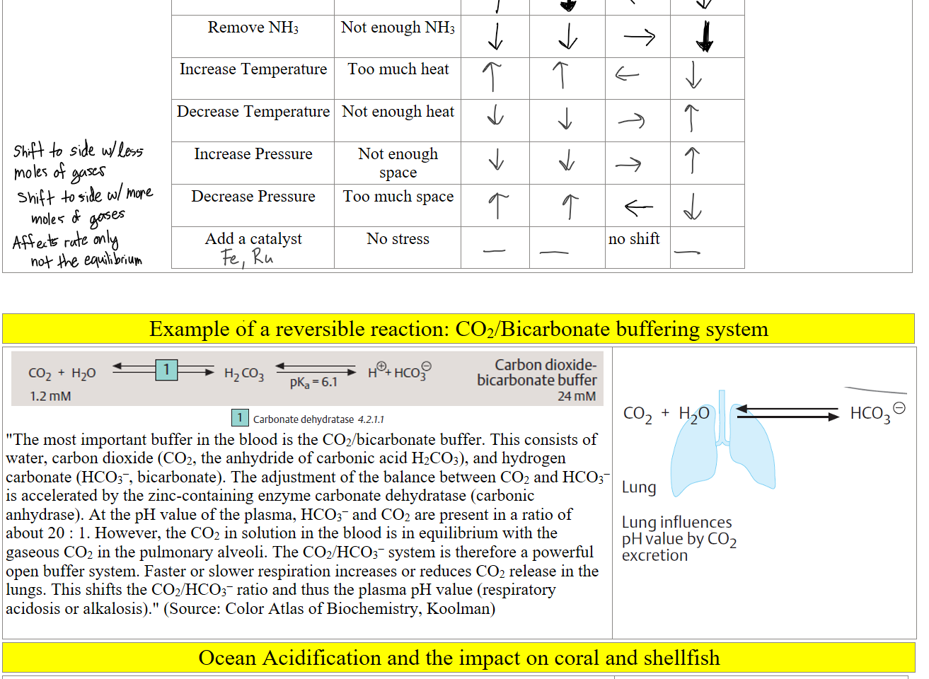 
Remove NH3

Not enough NH3




Increase Temperature

Too much heat




Decrease Temperature

Not enough heat




Increase Pressure

Not enough space




Decrease Pressure

Too much space




Add a catalyst

No stress


no shift



Example of a reversible reaction: CO2/Bicarbonate buffering system
Untitled picture.png Machine generated alternative text:
C02 + H20 
61 
1.2 [TIM 
HC09 
Carbon dioxide- 
bicarbonate buffer 
24 mM 
Untitled picture.png 
"The most important buffer in the blood is the CO2/bicarbonate buffer. This consists of water, carbon dioxide (CO2, the anhydride of carbonic acid H2CO3), and hydrogen carbonate (HCO3–, bicarbonate). The adjustment of the balance between CO2 and HCO3– is accelerated by the zinc-containing enzyme carbonate dehydratase (carbonic anhydrase). At the pH value of the plasma, HCO3– and CO2 are present in a ratio of about 20 : 1. However, the CO2 in solution in the blood is in equilibrium with the gaseous CO2 in the pulmonary alveoli. The CO2/HCO3– system is therefore a powerful open buffer system. Faster or slower respiration increases or reduces CO2 release in the lungs. This shifts the CO2/HCO3– ratio and thus the plasma pH value (respiratory acidosis or alkalosis)." (Source: Color Atlas of Biochemistry, Koolman)

 

Untitled picture.png Machine generated alternative text:
HC03 e 
C02 + H 20 
ung 
ung influences 
H value by C02 
xcretion 

Ocean Acidification and the impact on coral and shellfish
                                1                     2                                      3
Figure-7_OceanAcidity-ChartREV1_Final-e1460747846316-750x522.png 
Ink Drawings
Ink Drawings
Ink Drawings
Ink Drawings
Ink Drawings
Ink Drawings
Ink Drawings
Ink Drawings
Ink Drawings
Ink Drawings
Ink Drawings
Ink Drawings
Ink Drawings
Ink Drawings
Ink Drawings
Ink Drawings
Ink Drawings
Ink Drawings
Ink Drawings
Ink Drawings
Ink Drawings
Ink Drawings
Ink Drawings
Ink Drawings
Ink Drawings
Ink Drawings
Ink Drawings
Ink Drawings
Ink Drawings
Ink Drawings
Ink Drawings
Ink Drawings
Ink Drawings
Ink Drawings
Ink Drawings
Ink Drawings
Ink Drawings
Ink Drawings
Ink Drawings
Ink Drawings
Ink Drawings
Ink Drawings
Ink Drawings
Ink Drawings
Ink Drawings
Ink Drawings
Ink Drawings
Ink Drawings
Ink Drawings
Ink Drawings
Ink Drawings
Ink Drawings
Ink Drawings
Ink Drawings
Ink Drawings
Ink Drawings
Ink Drawings
Ink Drawings
Ink Drawings
Ink Drawings
Ink Drawings
Ink Drawings
Ink Drawings
Ink Drawings
Ink Drawings
Ink Drawings
Ink Drawings
Ink Drawings
Ink Drawings
Ink Drawings
Ink Drawings
Ink Drawings
Ink Drawings
Ink Drawings
Ink Drawings
Ink Drawings
Ink Drawings
Ink Drawings
Ink Drawings
Ink Drawings
Ink Drawings
Ink Drawings
Ink Drawings
Ink Drawings
Ink Drawings
Ink Drawings
Ink Drawings
Ink Drawings
Ink Drawings
Ink Drawings
Ink Drawings
Ink Drawings
Ink Drawings
Ink Drawings
Ink Drawings
Ink Drawings
Ink Drawings
Ink Drawings
Ink Drawings
Ink Drawings
Ink Drawings
Ink Drawings
Ink Drawings
Ink Drawings
Ink Drawings
Ink Drawings
Ink Drawings
Ink Drawings
Ink Drawings
Ink Drawings
Ink Drawings
Ink Drawings
Ink Drawings
Ink Drawings
Ink Drawings
Ink Drawings
Ink Drawings
Ink Drawings
Ink Drawings
Ink Drawings
Ink Drawings
Ink Drawings
Ink Drawings
Ink Drawings
Ink Drawings
Ink Drawings
Ink Drawings
Ink Drawings
Ink Drawings
Ink Drawings
Ink Drawings
Ink Drawings
Ink Drawings
Ink Drawings
Ink Drawings
Ink Drawings
Ink Drawings
Ink Drawings
Ink Drawings
Ink Drawings
Ink Drawings
Ink Drawings
Ink Drawings
Ink Drawings
Ink Drawings
Ink Drawings
Ink Drawings
Ink Drawings
Ink Drawings
Ink Drawings
Ink Drawings
Ink Drawings
Ink Drawings
Ink Drawings
Ink Drawings
Ink Drawings
Ink Drawings
Ink Drawings
Ink Drawings
Ink Drawings
Ink Drawings
Ink Drawings
Ink Drawings
Ink Drawings
Ink Drawings
Ink Drawings
