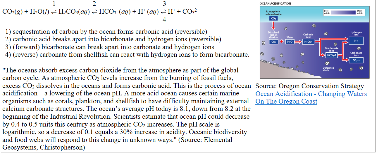                                 1                     2                                      3
CO2​(g) + H2​O(l) ⇌ H2​CO3​(aq) ⇌ HCO3−​(aq) + H+ (aq) ⇌ H+ + CO32−
                                                                                                                                         4

sequestration of carbon by the ocean forms carbonic acid (reversible)
carbonic acid breaks apart into bicarbonate and hydrogen ions (reversible)
(forward) bicarbonate can break apart into carbonate and hydrogen ions
(reverse) carbonate from shellfish can react with hydrogen ions to form bicarbonate.

"The oceans absorb excess carbon dioxide from the atmosphere as part of the global carbon cycle. As atmospheric CO2 levels increase from the burning of fossil fuels, excess CO2 dissolves in the oceans and forms carbonic acid. This is the process of ocean acidification—a lowering of the ocean pH. A more acid ocean causes certain marine organisms such as corals, plankton, and shellfish to have difficulty maintaining external calcium carbonate structures. The ocean’s average pH today is 8.1, down from 8.2 at the beginning of the Industrial Revolution. Scientists estimate that ocean pH could decrease by 0.4 to 0.5 units this century as atmospheric CO2 increases. The pH scale is logarithmic, so a decrease of 0.1 equals a 30% increase in acidity. Oceanic biodiversity and food webs will respond to this change in unknown ways." (Source: Elemental Geosystems, Christopherson)
Figure-7_OceanAcidity-ChartREV1_Final-e1460747846316-750x522.png 
Source: Oregon Conservation Strategy
﷟HYPERLINK "https://www.youtube.com/watch?v=7h08ok3hFSs&t=357s"Ocean Acidification - Changing Waters On The Oregon Coast

